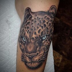 Big cat by Jonathan Brown, more background work to come